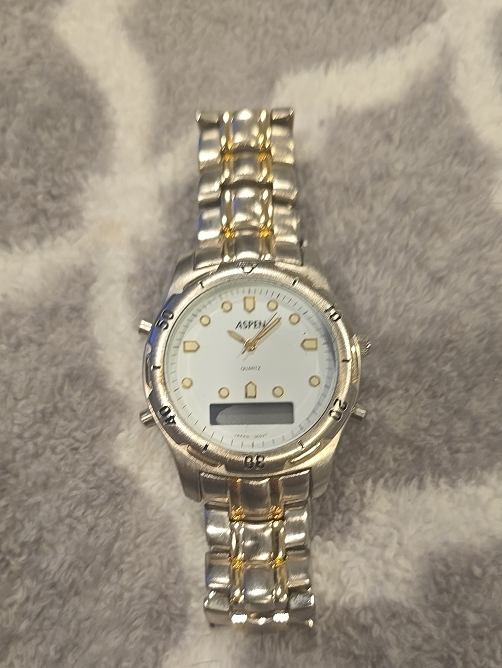 Vintage Mens Aspen Watch